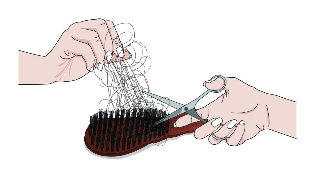 Wildschweinborstenbürste vorsichtig mit Schere von Haaren befreien