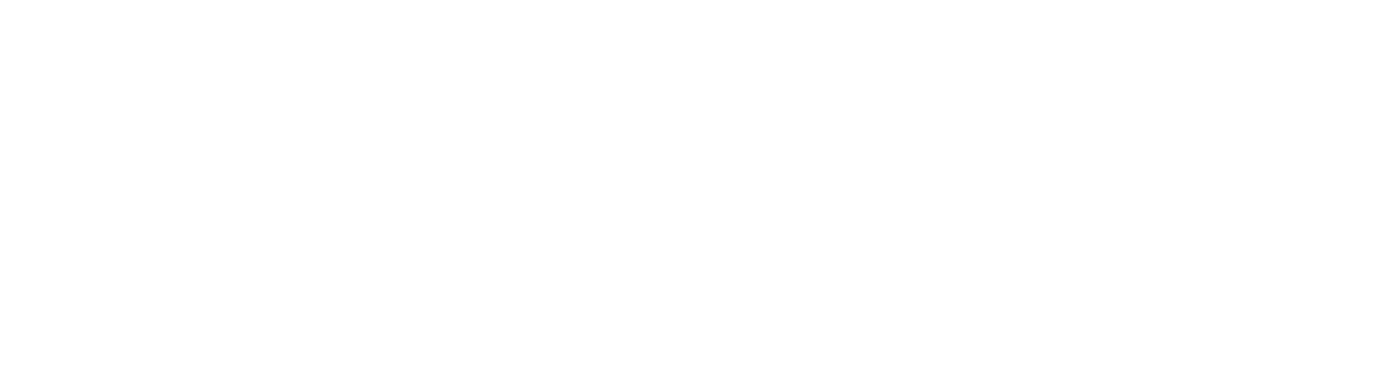 Via Natura Logo ohne Claim frei weiß 2025